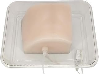 B-Ultrasound Puncture Training Model Liver Catheterization Simulation Exercise Ultrasound Module