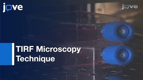New STAR Technique Revolutionizes Real-time Protein Structure Imaging