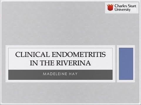 Study Reveals Impact of Endometritis on Dairy Cow Reproduction