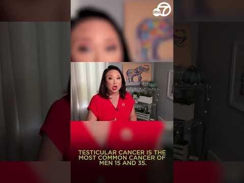 Adenomatoid Testicular Tumors: Importance of Accurate Diagnosis