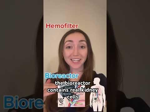 eGenesis’ EGEN-2784: Revolutionary Artificial Kidney Transplant Breakthrough