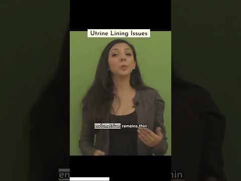 Thin Endometrium Not a Barrier to IVF Success: Study Finds