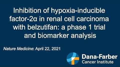 HIF-2α Inhibitors Show Promise in Treating Kidney Cancer-Related Hypercalcemia